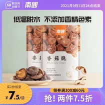 Nanguo food Hainan specialty shiitake mushroom crispy 50gx2 bag snack snack instant vegetable fragrant mushroom dried fruit