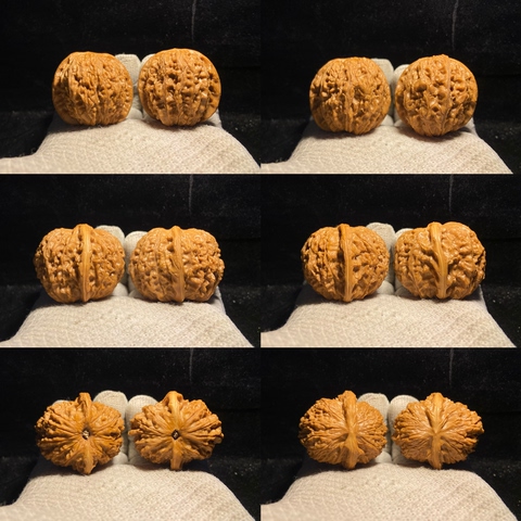 核桃血麒麟精选和核桃血麒麟品牌价格与图片-淘宝商品网