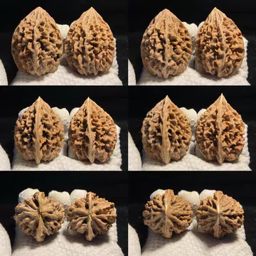 招财鼠核桃-招财鼠核桃促销价格、招财鼠核桃品牌- 淘宝