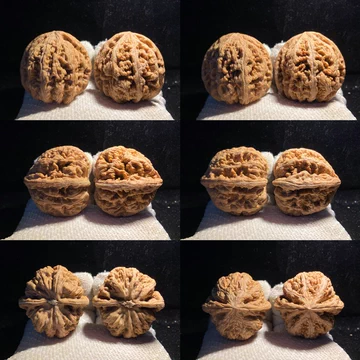 平谷大粗筋核桃-平谷大粗筋核桃促销价格、平谷大粗筋核桃品牌- 淘宝