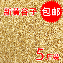 New yellow millet with Shell millet tiger skin peony Xuanfeng small and medium-sized parrot bird bird food bird feed 5kg