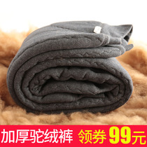 The male winter delivery of the camel cotton pants for the elders