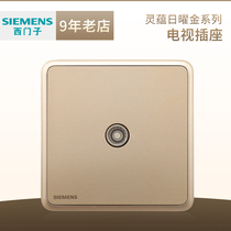 Siemens TV socket Lingyun Riyao Golden home switch cable TV closed circuit information panel