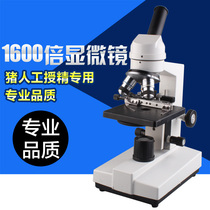 Pig artificial insemination special microscope Professional optical biological microscope 1600 times built-in cold light source
