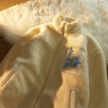 Japanese minimalist kitten lamb wool cotton coat female off-season loose niche design collar thick coat