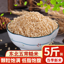 Northeast Wuchang Brown Rice New Rice 5 Jin Xuan Rice Farmhouse Sprout Rice Crude Germ Rice Fitness Brown Rice Grain
