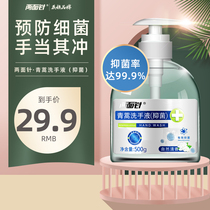 LMZ Artemisia annua Antibacterial hand sanitizer Silver ion disinfection Natural fragrance easy to rinse household 500g