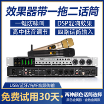 Dual reverb pre-stage effect KTV Bluetooth tuning OK front one for two wireless microphone anti-howling processor
