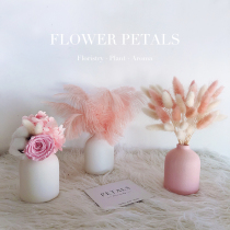 ins ostrich feather rabbit tail grass dried flower bouquet immortal flower decoration home decoration mini ceramic vase net red
