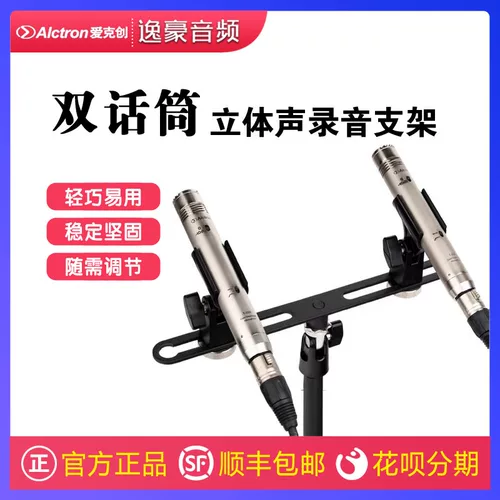 Alctron/Ekchuang MAS020 Двойная микрофонная стереозапись
