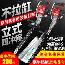Four-stroke hedge machine gasoline tea tree tea tree pruning machine rough branch refurbishment King lawnmower landscaping Trimmer