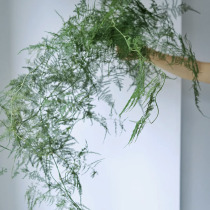 Xianqi full Wen bamboo Dry Branch waterfall hand holding leaf hanging flower shape branch scene arrangement shooting props