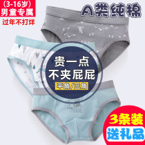 Boys  underwear Childrens boxer pure cotton shorts Summer childrens cotton 12 middle and older children 15 teen briefs men