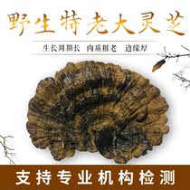 Guizhou Black Ganoderma Lucidum wild premium natural pruned Nyingchi fresh purple Ganoderma lucidum dry goods 250g non-a catty