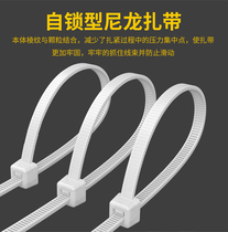 Shanze nylon cable tie sealing strip wire 300mm * 5 about 200 ZD-05