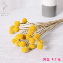 Immortal golden ball ins Nordic style natural real flower dried flower small bouquet home decoration Dragon Boat Festival handmade diy flower arrangement