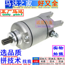 Applicable Aprilia Apulia SR250 APR300T-V MAX SR300 starter motor motor carbon brush