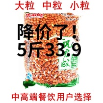Food and beverage Fried peanuts Cooked bulk fried red skin Peanuts cooked fried red skin peanuts