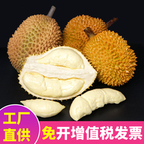 Simulation Durian Durian meat fake fruit model props fruit shop decoration plastic decoration toy mold large display