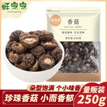 Fresh cooked small mushroom dried goods money mushroom Gutian farm mushroom pearl mushroom small dried mushroom edible extra small 250g