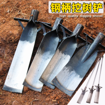 Manganese steel thickened tree shovel sewer seedling burrowing plant root garden art tool digging pit ditch artifact shovel farming