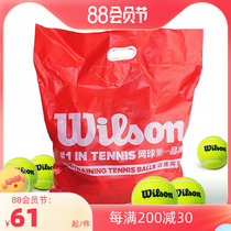 Wilson Wilson Win Tennis Training Ball without pressure training ball wear-resistant ball Wilson American bucket