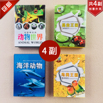 Animal Poker Marine Fish Card Bird Insect Personality Children Cute Puzzle Teaching Tone Creative Cards