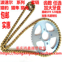 Motocross motorcycle Bozor Cheetah 250 Rabbit falcon 520 set of chain size tooth plate gold chain set of chain