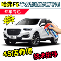 Haver F5 Tonic Lacquered Pen Pearl White Auto Paint Scratches Repair White Shark Red Eagle I Interesting Grey Self Spray Paint