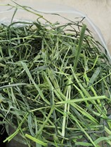 (Main Grass) 21 Years New Grass Sundry North Titian Mosatian Grass Sex Price Ratio High Natural Sun Dry Grindstone Rabbit Shepherd Grass