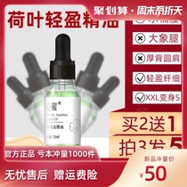 y official flagship store Qin honey lotus leaf light essential oil buy 2 get 1 buy 3 hair 5 beat 6 get 10 Qin Mi