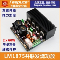 LM1875 Dual-tube parallel amplifier board Feipu sound GC audio version audiophile grade gall super 1969 LM4766