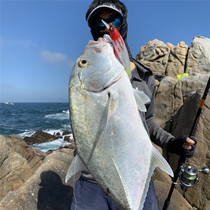The Waiter Mino Lujah Bait Floating Water Hainan Fishing Port Red Wolf Bass 26 gr Teething GT Luminous Lujah Bait
