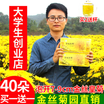  Authentic golden silk imperial chrysanthemum One cup Rhubarb chrysanthemum tea Wuyuan Huizhou Imperial chrysanthemum grass tea Fetal chrysanthemum tea