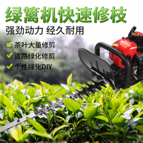 Tea picking hedge machine household gasoline tea tea tree trimmer rough branch shears hedge trimmer refurbishment King cut tea