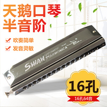 Swan 16-hole 64-tone boat circular arc blowing mouth halftone playing harmonica SW1664-6 promotion harmonica