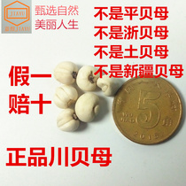 Authentic Chuanbei mother-of-pearl pine shellfish Sichuan Chuanbei mother-of-pearl 50g mother-of-pearl powder pine shellfish pearl oyster