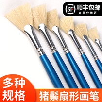 Pig mane fan-shaped oil painting pen Gouache watercolor oil painting pen Umbrella flat head fishtail pen