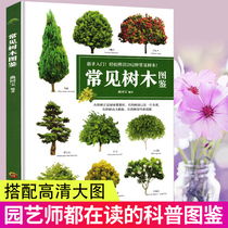 Common tree illustrations landscaping books garden flowers and plants tree illustrations seedlings books plants books greening trees seedlings gardens gardens trees trees adult version of seedlings seedlings books