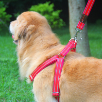Sturdy dog chain dog leash strap walking dog rope Satsuma golden hair medium large dog pet supplies