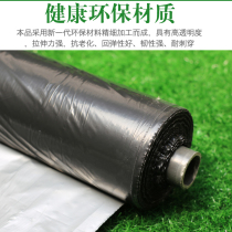 Agricultural silver black two-color reflective mulch weeding film insect-proof thickened film fruit tree orchard vegetable greenhouse strawberry