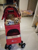 Pet Stroller Dog Cart Foldable Four-wheeled Trolley Shock-Proof Reversing Cat Pooch Cart Big Pet Supplies