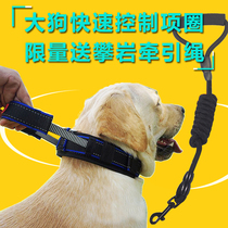 Dog traction rope explosion-proof punching dog collar in large canine collar gold Maura Labrador Alaska Dog neck ring