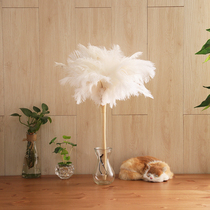 White Ostrich hair duster dust removal Household cleaning tools clean without hair loss Jade feathers chicken feathers Zenzi