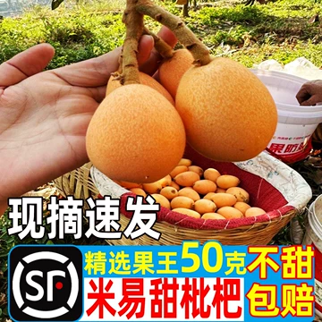 米易大五星枇杷5斤-米易大五星枇杷5斤促销价格、米易大五星枇杷5斤品牌