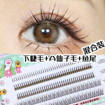 Xue Linai false eyelashes female natural simulation single cluster grafting segmented lower eyelashes a word fairy hair fishtail mix