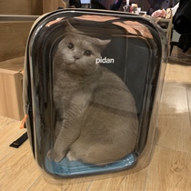 Pidan pet backpack cat bag out portable space capsule breathable backpack carrying large size foldable