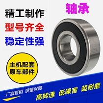 Bearings Electric vehicle bearings 6301 6300 6200 6201 6202 6203 6004 Motorcycle bearings