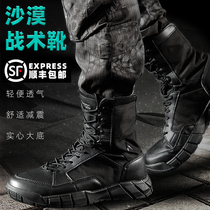 Military wild men autumn outdoor sports combat boots light breathable military fans boots tactical mountaineering high tube desert training boots