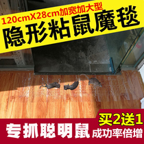 Transparent rodent-killing magic carpet increases strong sticky mouse board sticky mouse glue stick mouse catch catch big mouse Buster full nest end